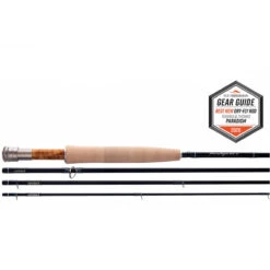 Thomas & Thomas Paradigm